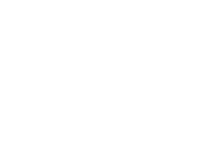 Virtus logo blanco